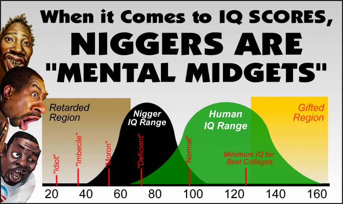 Niggers are Mental Midgets_Low IQ